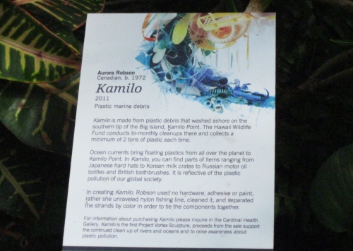 Description of Kamilo by Aurora Robson